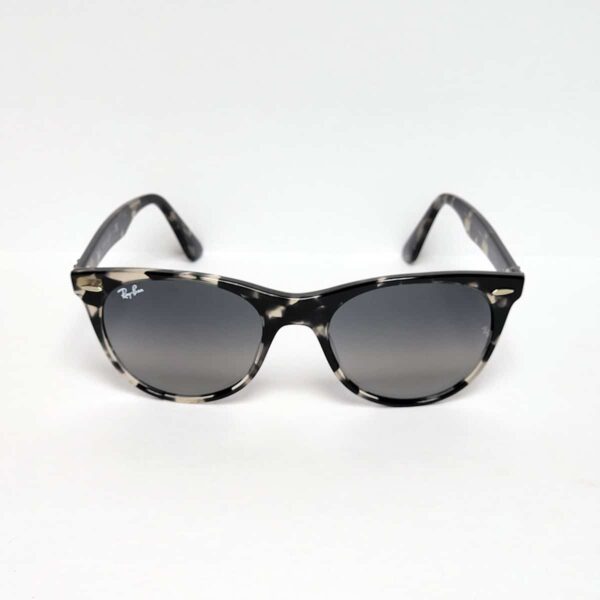 Ray-Ban RB 2185 1333 (Wayferer II)